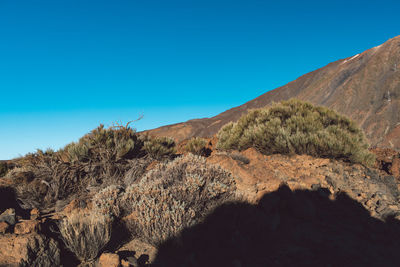 Scenic view of desert against clear blue sky