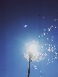 Low angle view of lamp post against blue sky