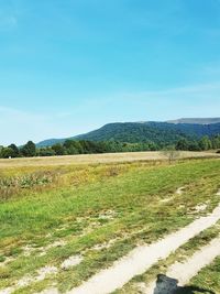 Scenic view of field against sky