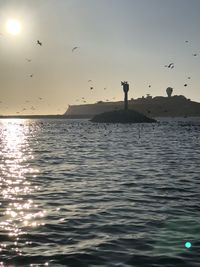 Silhouette birds flying over sea against sky