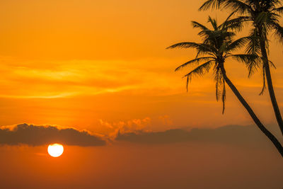 Silhouette palm tree against romantic sky at sunset