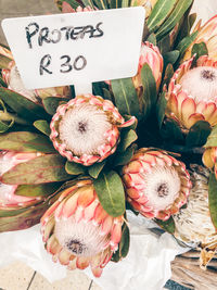 High angle view of protea flowers at market stall
