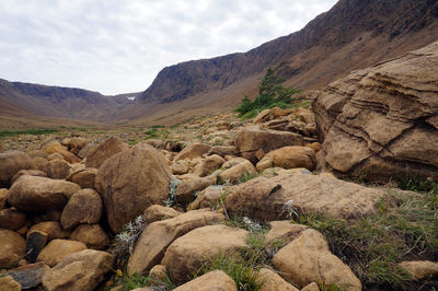 Scenic view of rock formation against sky