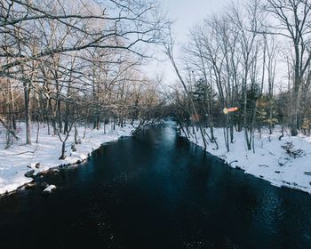 Bare trees on snow covered landscape