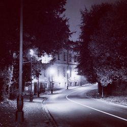 Empty road along trees