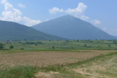 Scenic view of field against sky