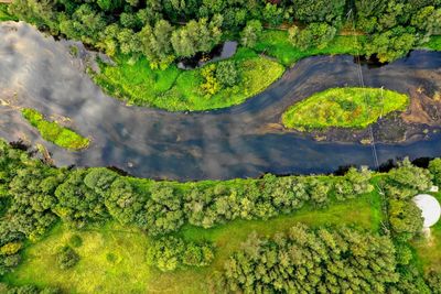 Aerial view of stream amidst trees in forest