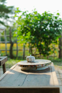 Close-up of food on table in yard