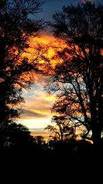 Silhouette trees against dramatic sky during sunset