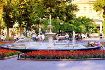 Fountain in garden