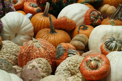 Pumpkins for sale at market