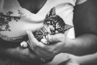 Midsection of woman holding kitten