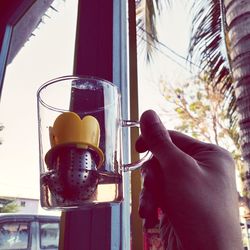 Close-up of hand holding drinking glass