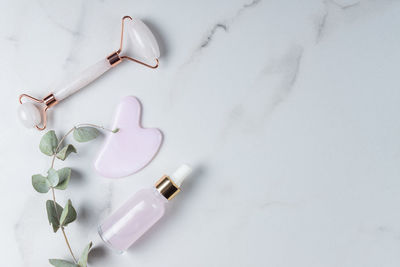 Rose quartz massage roller and gua sha stone scraper tools and dry eucalyptus on marble background