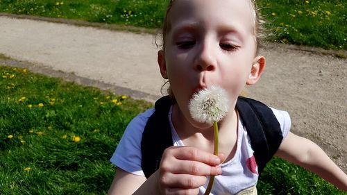 Close-up of cute girl blowing dandelion on grassy field