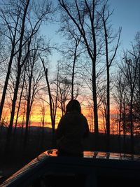 Silhouette of bare tree at sunset