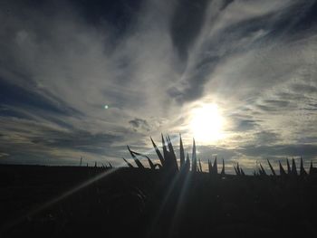 Scenic view of landscape against sky at sunset