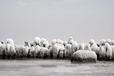 Panoramic shot of frozen lake against clear sky