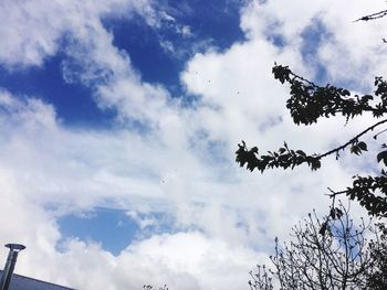 Low angle view of tree against sky