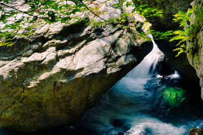 Scenic view of waterfall in forest