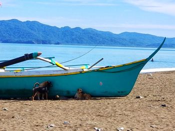 Boat moored on beach against sky
