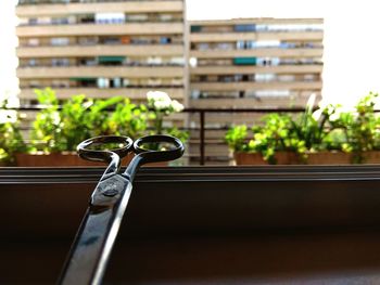 Close-up of window against building in city