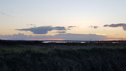 Scenic view of field against sky during sunset