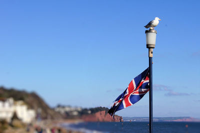 Close-up of flag against blue sky