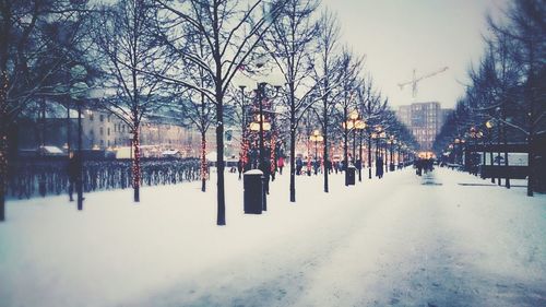 Snow covered trees in city