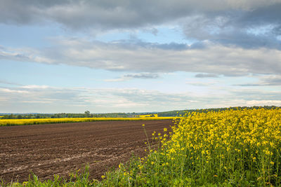 Scenic view of field against cloudy sky