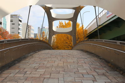 Empty footpath amidst buildings