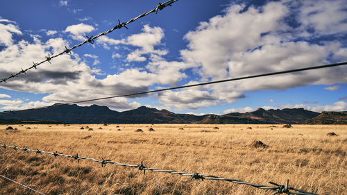 Barbed wire fence on field against sky