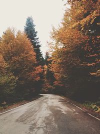 Road passing through forest