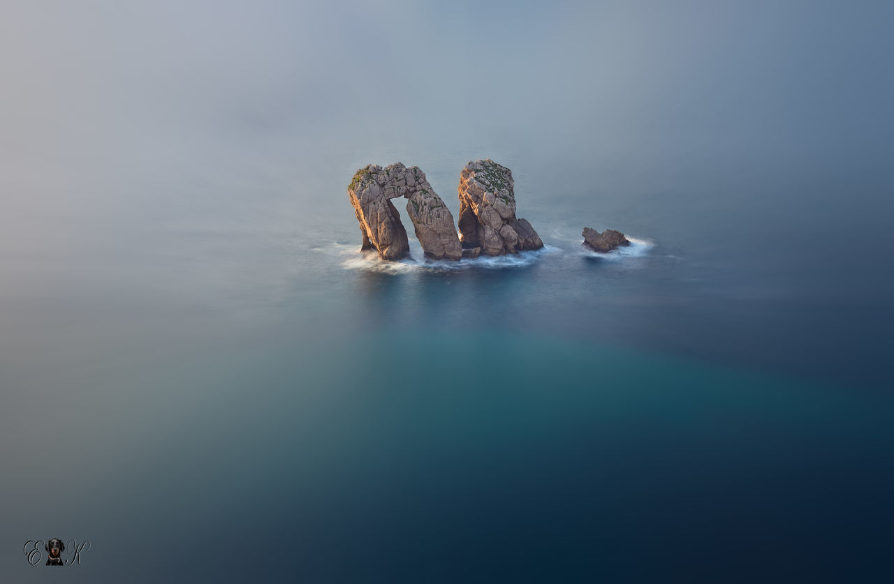 VIEW OF TURTLE ON ROCK