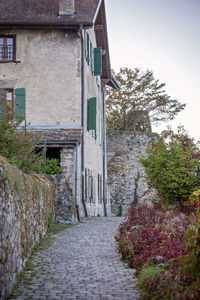Footpath amidst trees against clear sky