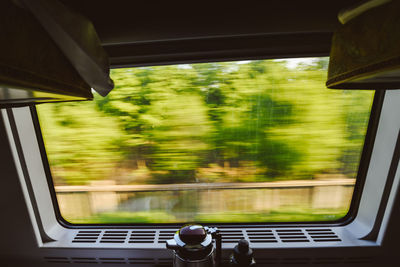 View of trees through window