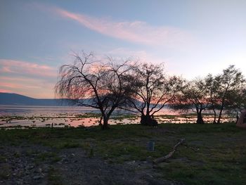 Bare trees by lake against sky during sunset