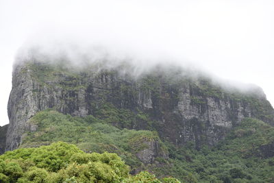 Scenic view of forest against sky