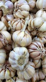 Full frame shot of onions