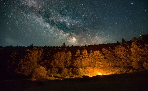 Scenic view of trees against sky at night