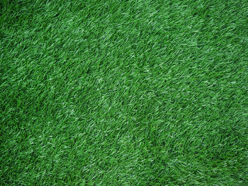 Artificial grass field