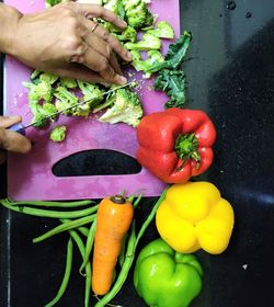 High angle view of hand holding vegetables