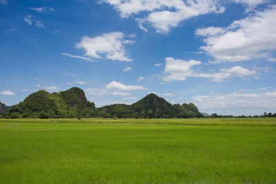 Scenic view of field against sky