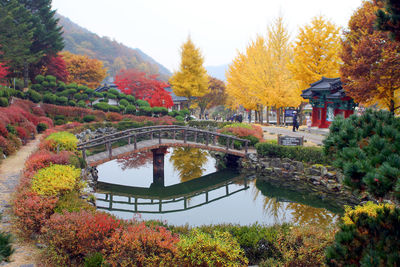 The autumn scenery is beautiful and well-organized.