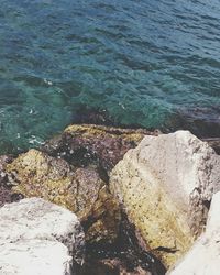 High angle view of rock in sea