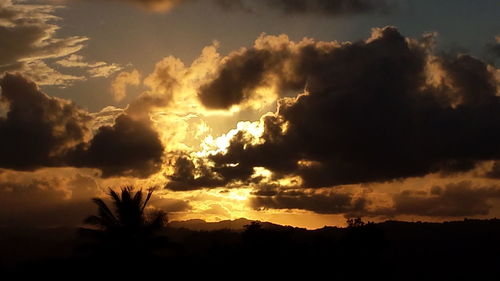 Silhouette of trees against cloudy sky