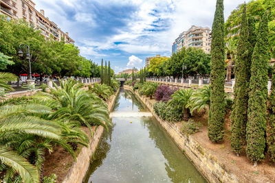 Panoramic view of road amidst trees against sky