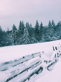 Snow covered trees against sky