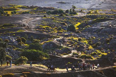 High angle view of city