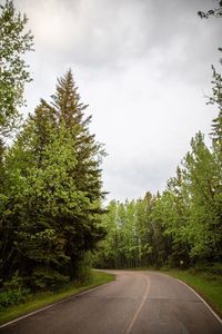 Empty road amidst trees against sky